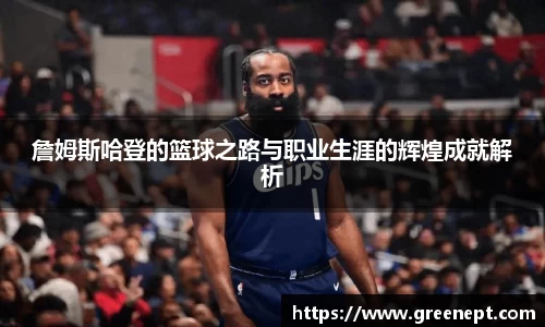 zoty中欧官方网站